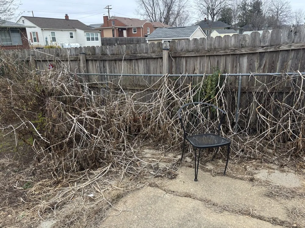 Custom landscape installation for beautiful yards across Fredericksburg, VA - DeSimini Lawn Care