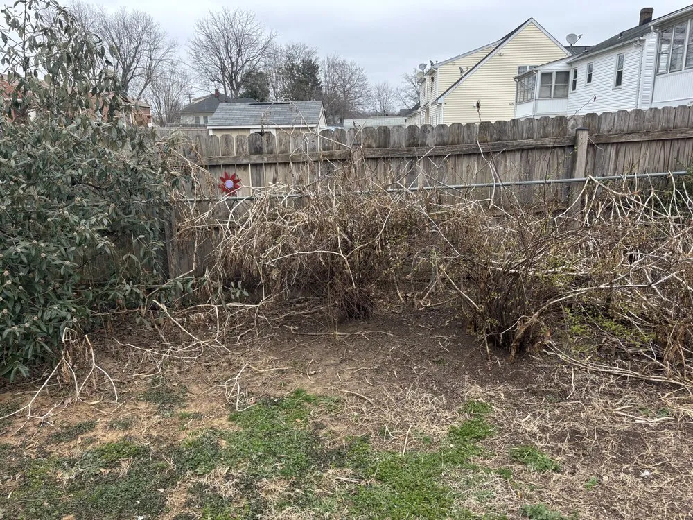 Professional residential landscaping experts serving Fredericksburg, VA - DeSimini Lawn Care