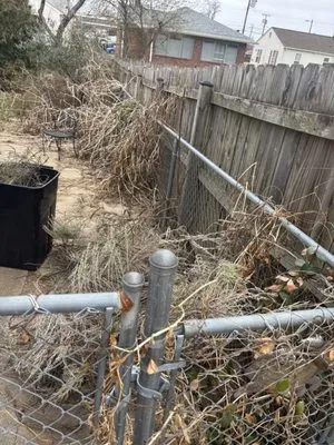 DeSimini Lawn Care Logo