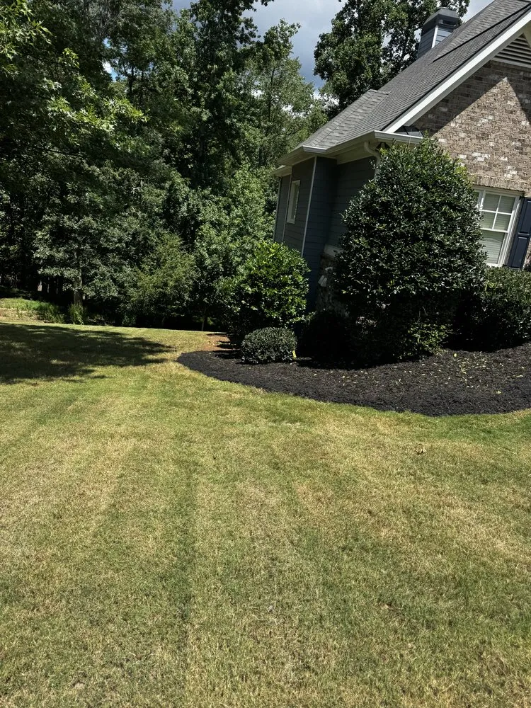 Trusted landscape design in Dahlonega, GA by Desire Solutions