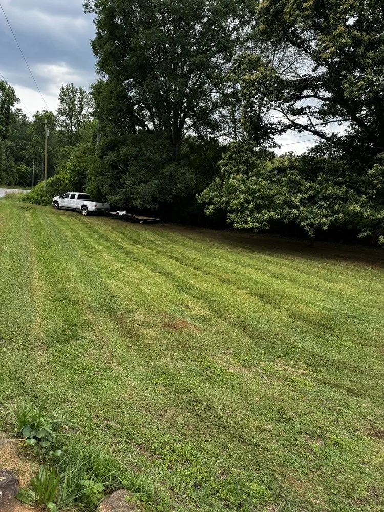 Trusted yard cleanup service experts serving Dahlonega, GA - Desire Solutions