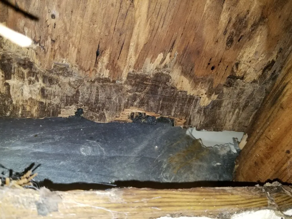 Custom landscape installation in Deltona, FL - Deslee Home Service