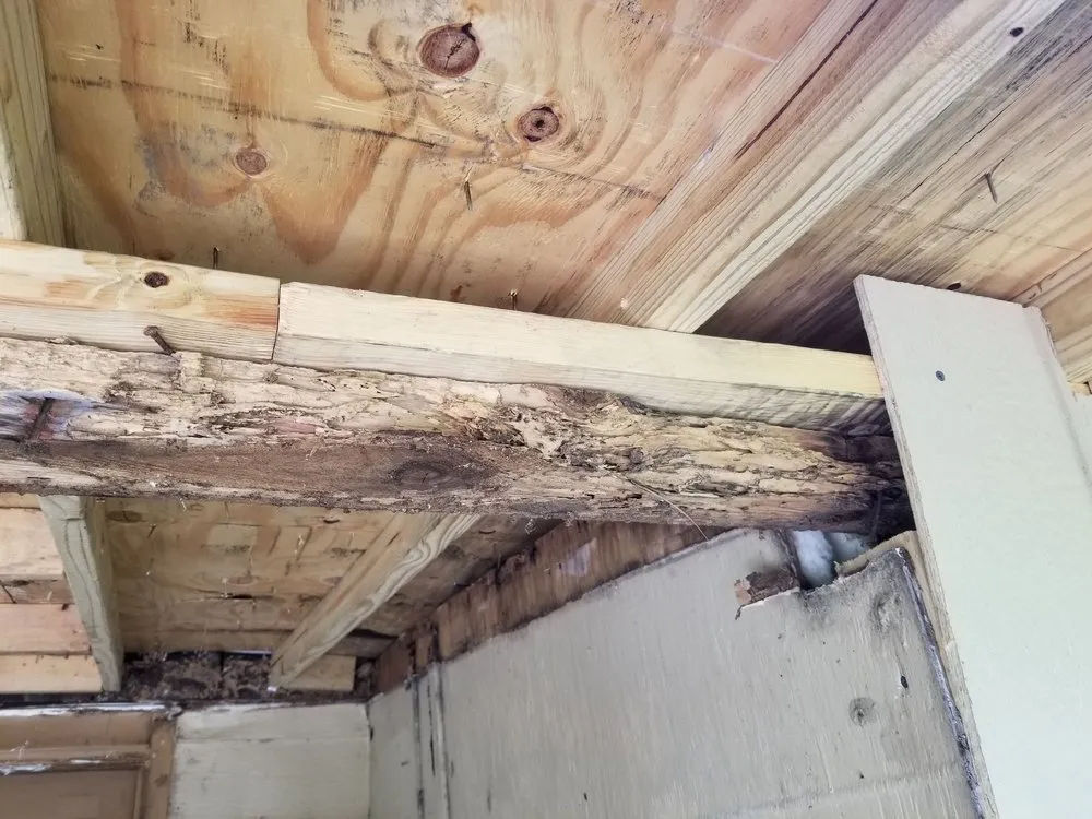 Affordable residential landscaping for outdoor upgrades across Deltona, FL - Deslee Home Service