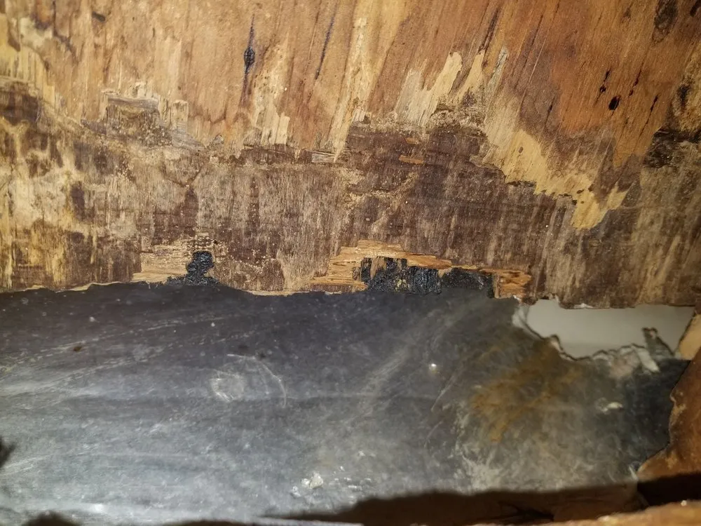 Top-rated lawn care service in Deltona, FL - Deslee Home Service