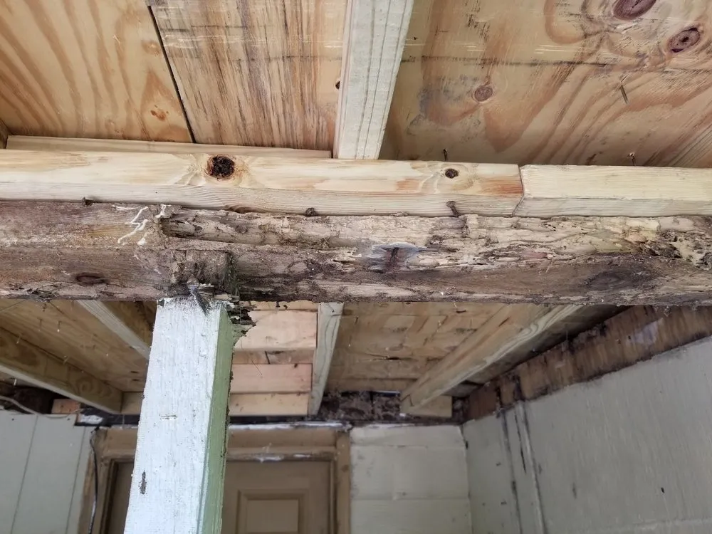 Affordable lawn care service in Deltona, FL by Deslee Home Service