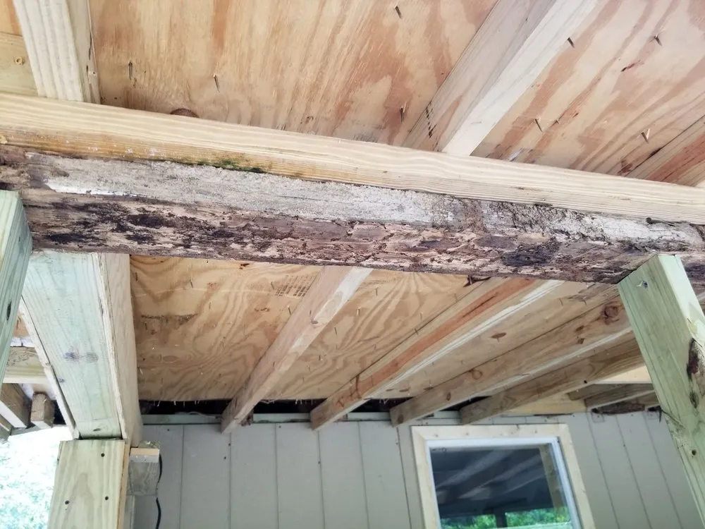 Custom landscape installation for homes in Deltona, FL by Deslee Home Service