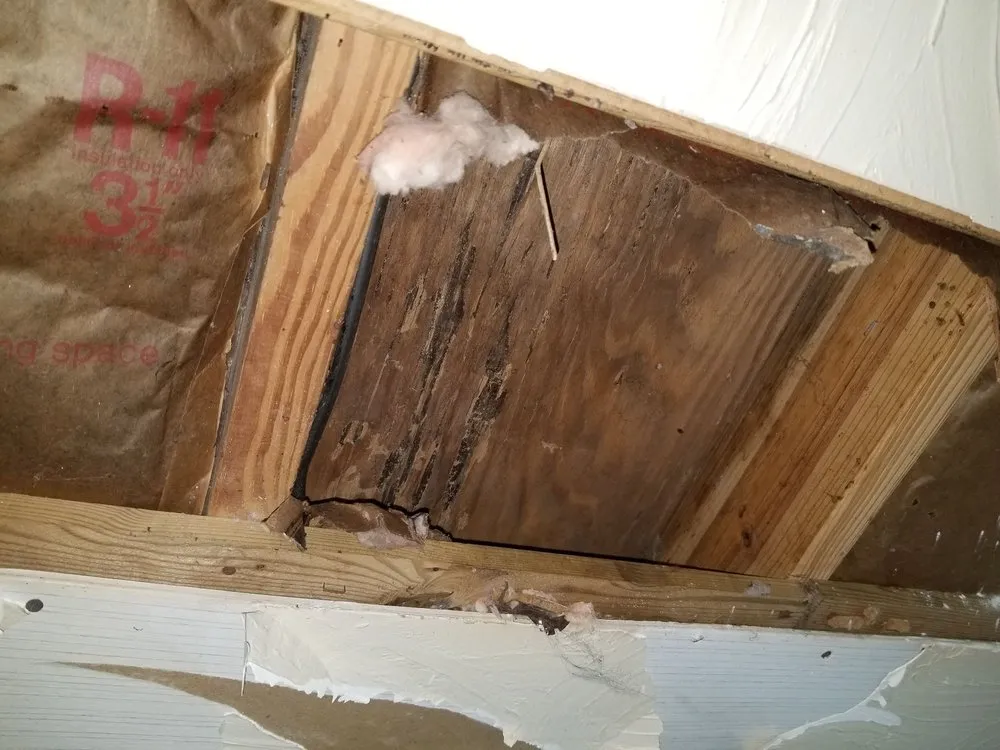 Local garden landscaping for outdoor upgrades in Deltona, FL by Deslee Home Service