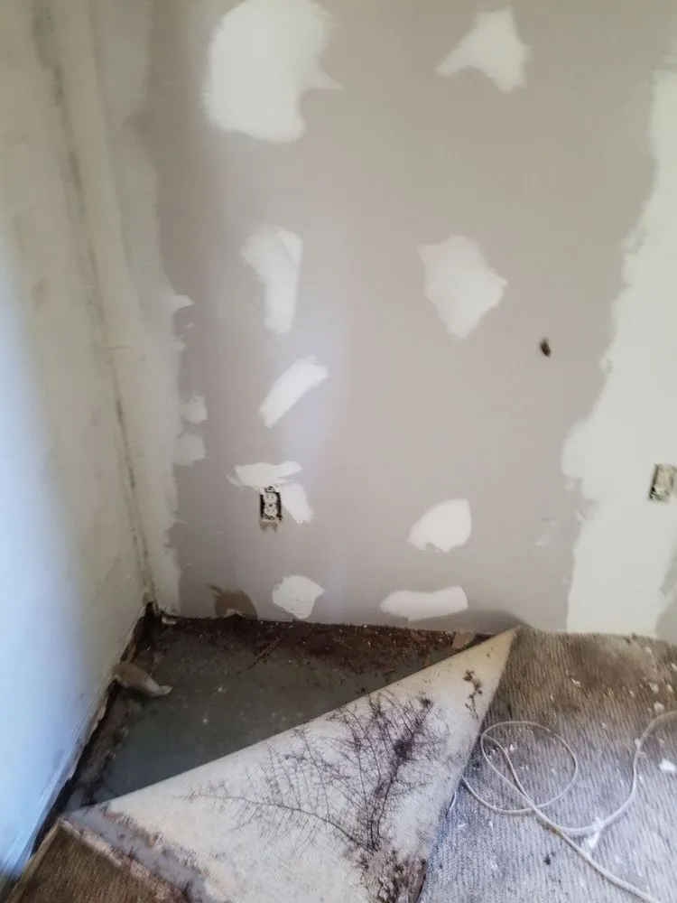 Affordable garden landscaping experts serving Deltona, FL - Deslee Home Service