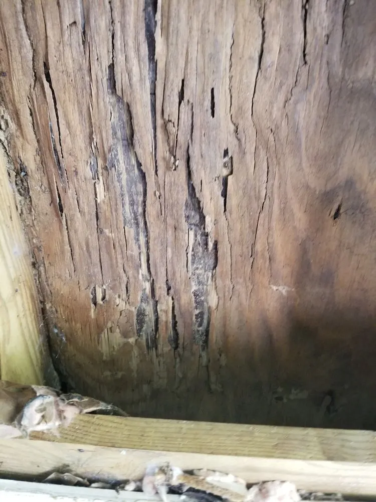 Professional landscape installation for year-round maintenance across Deltona, FL - Deslee Home Service