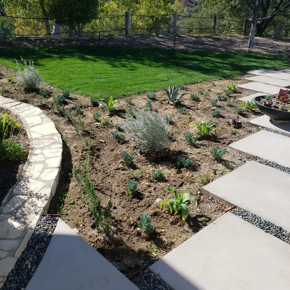 Expert lawn mowing service experts serving Los Angeles, CA - Desmart Landscape Services