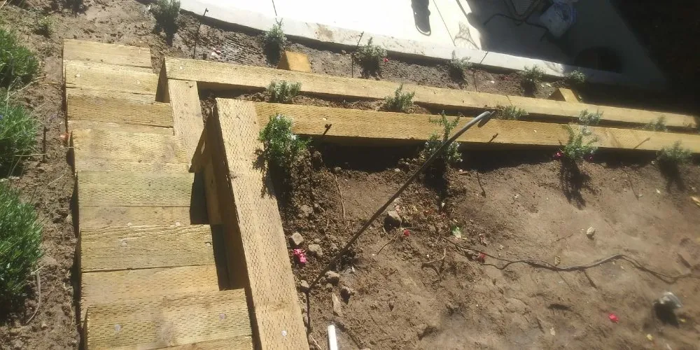 Affordable outdoor landscaping for year-round maintenance in Los Angeles, CA by Desmart Landscape Services