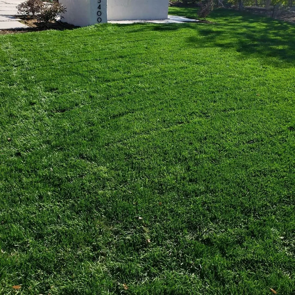 Top-rated lawn mowing service near you across Los Angeles, CA - Desmart Landscape Services