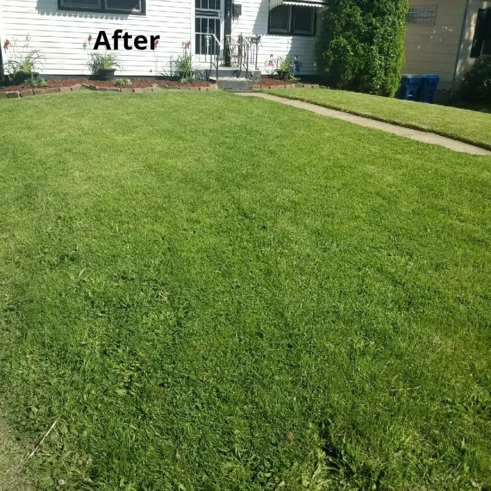 Reliable residential landscaping in Florissant, MO by Desmond's Lawn Service