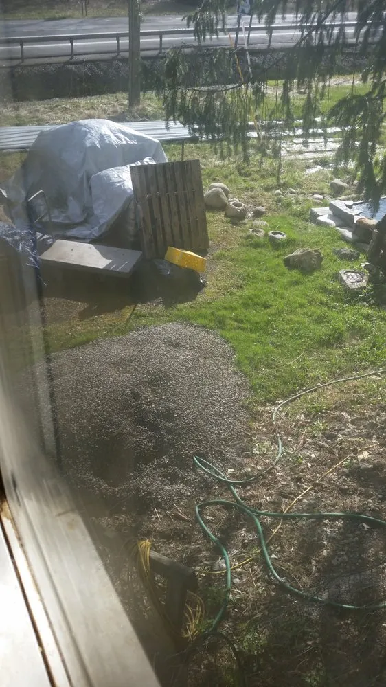 Top-rated lawn care service in Auburn, NY - Desmons Property Management