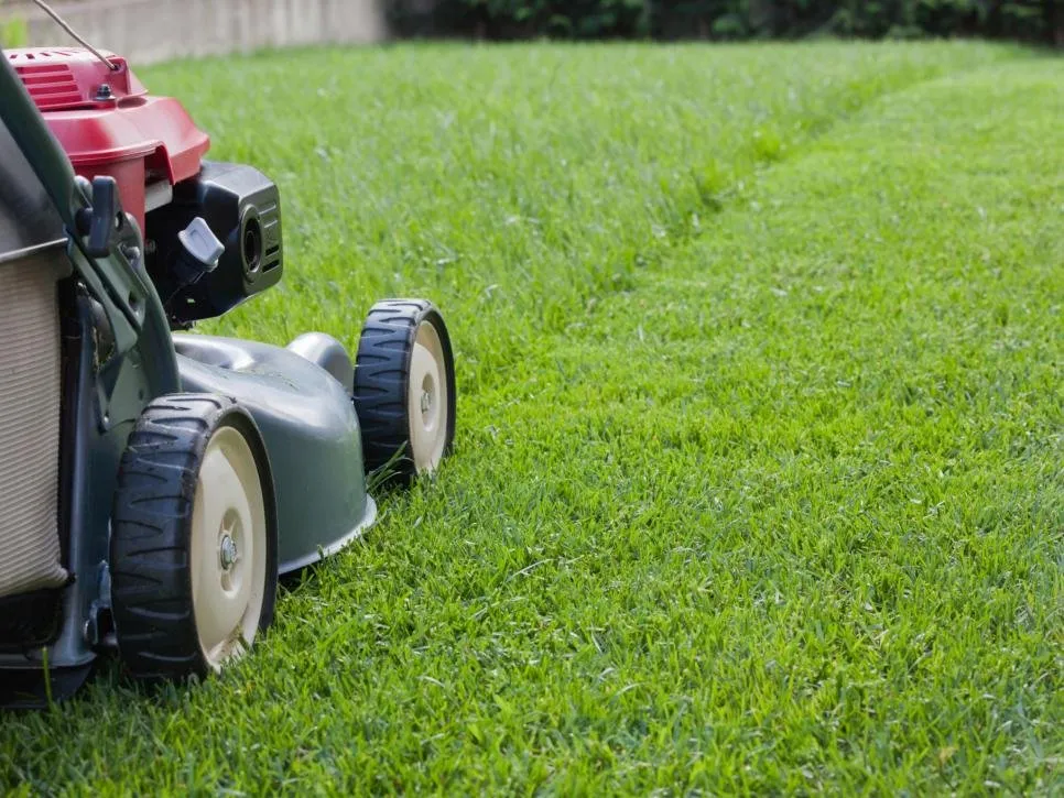 Reliable yard maintenance in Auburn, NY - Desmons Property Management
