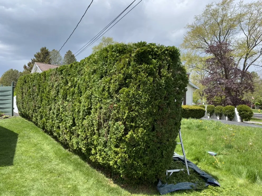 Professional landscape installation experts serving Auburn, NY - Desmons Property Management