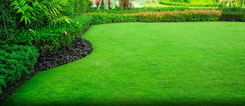 Top-rated landscape installation experts serving Auburn, NY - Desmons Property Management