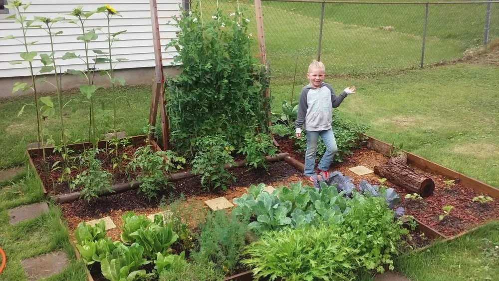 Local lawn care service in Southaven, MS - DeSoto DIY