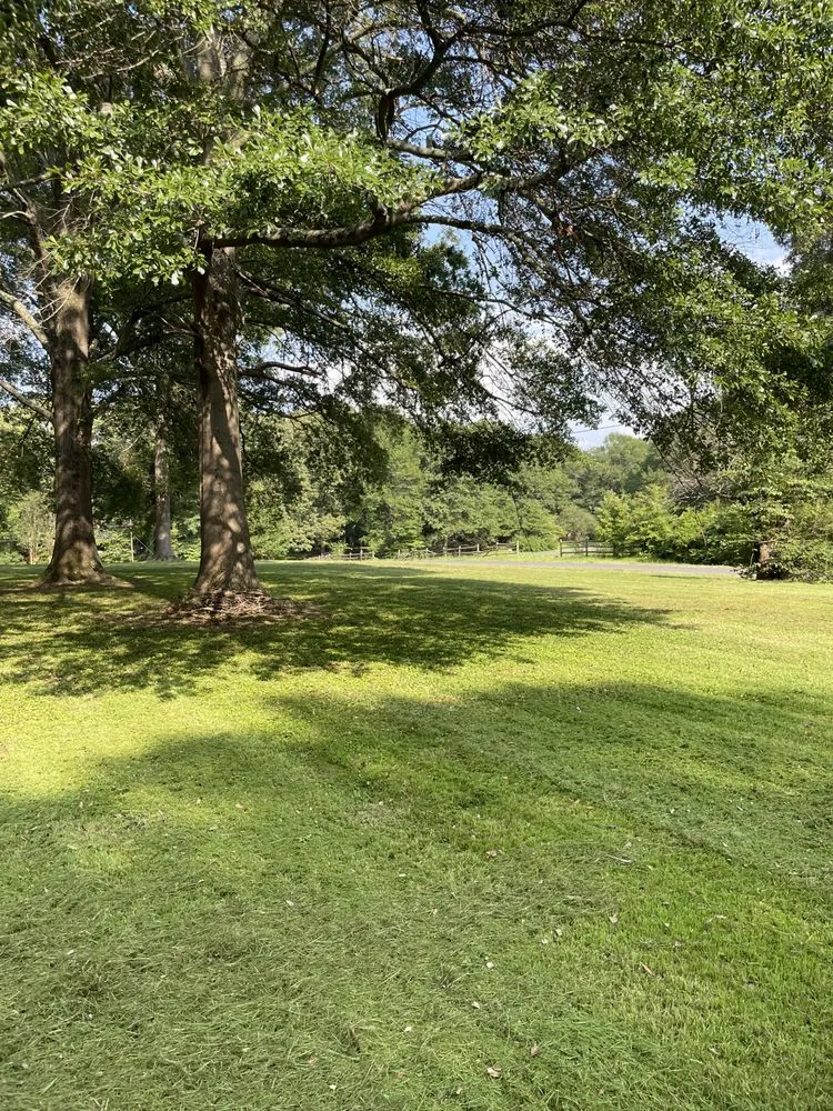 Trusted outdoor landscaping in Walls, MS by Desoto Lawn and Landscape