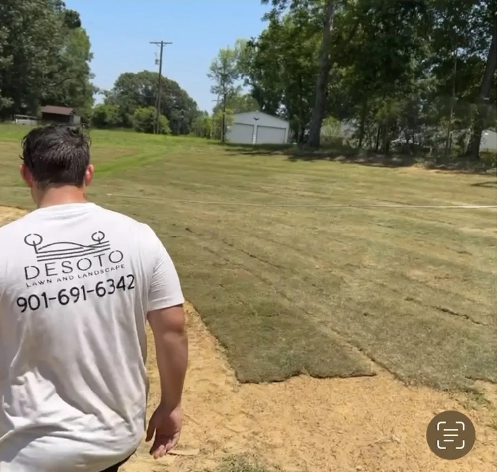 Affordable landscaping services in Walls, MS by Desoto Lawn and Landscape