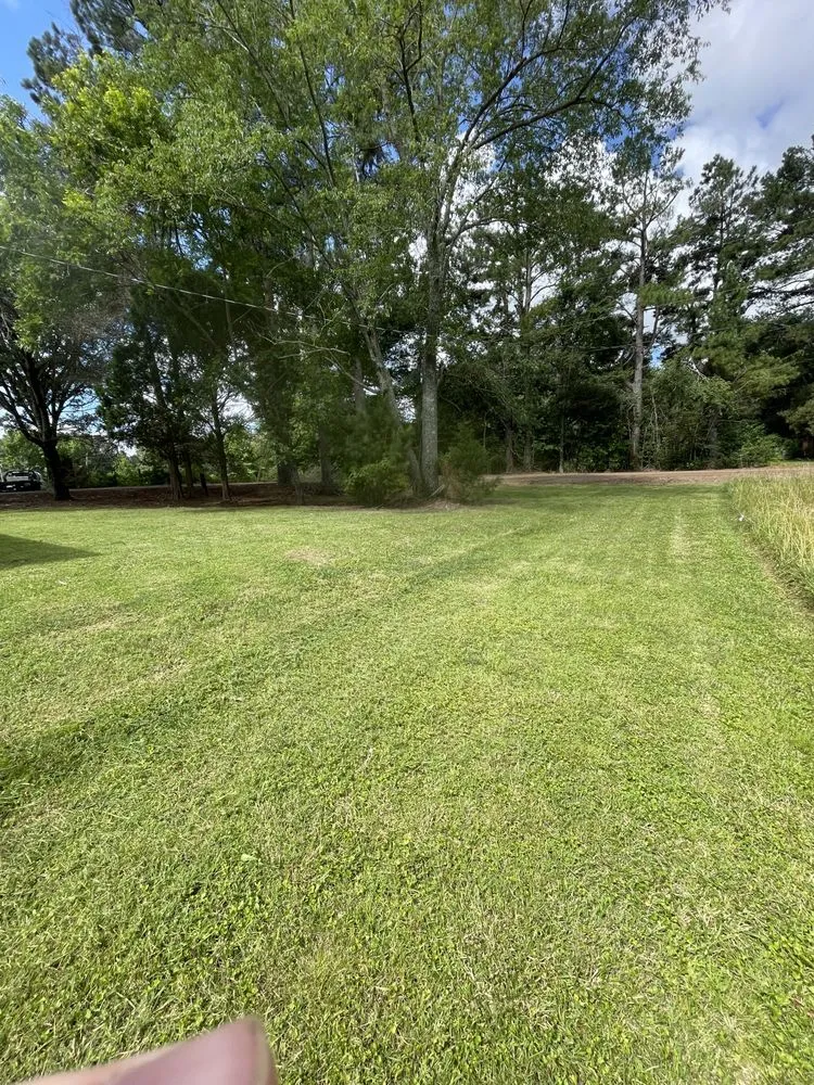 Top-rated garden landscaping with custom design in Walls, MS by Desoto Lawn and Landscape