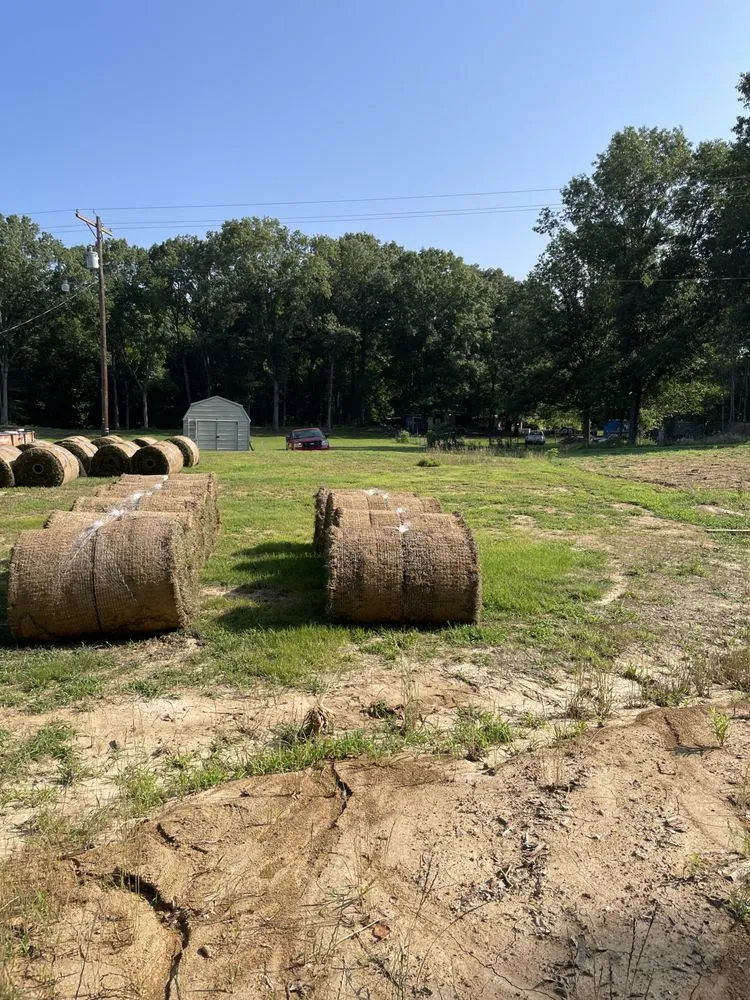 Trusted landscape design with custom design across Walls, MS - Desoto Lawn and Landscape