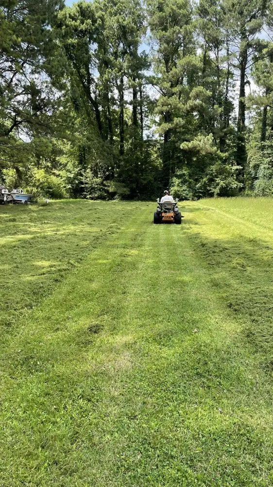 Trusted outdoor landscaping experts serving Walls, MS - Desoto Lawn and Landscape