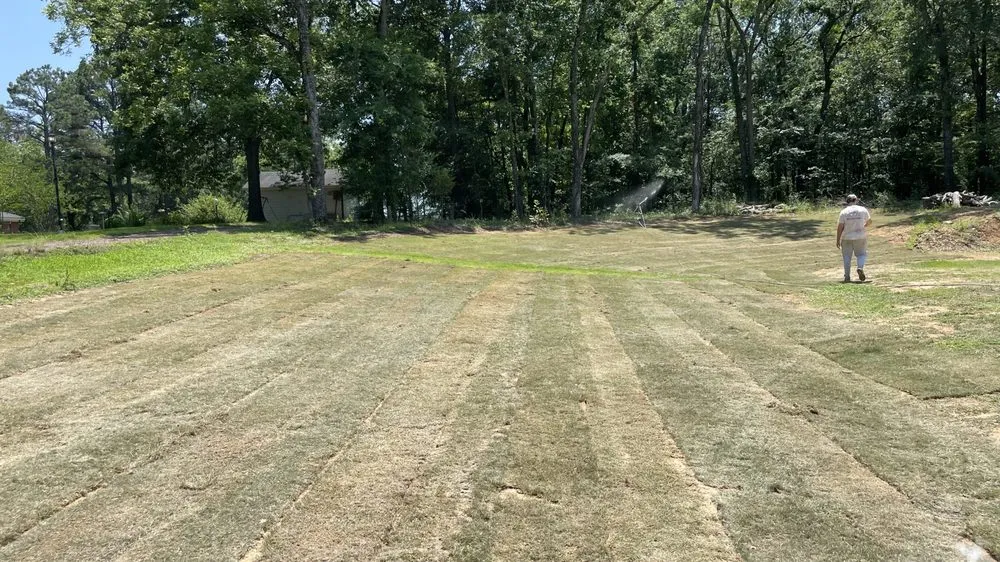 Expert lawn care service experts serving Walls, MS - Desoto Lawn and Landscape