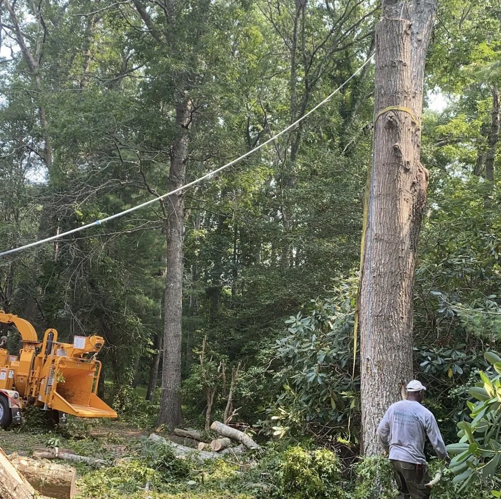 Top-rated outdoor landscaping in Centerville, MA - DeSouza Landscaping and Tree Service