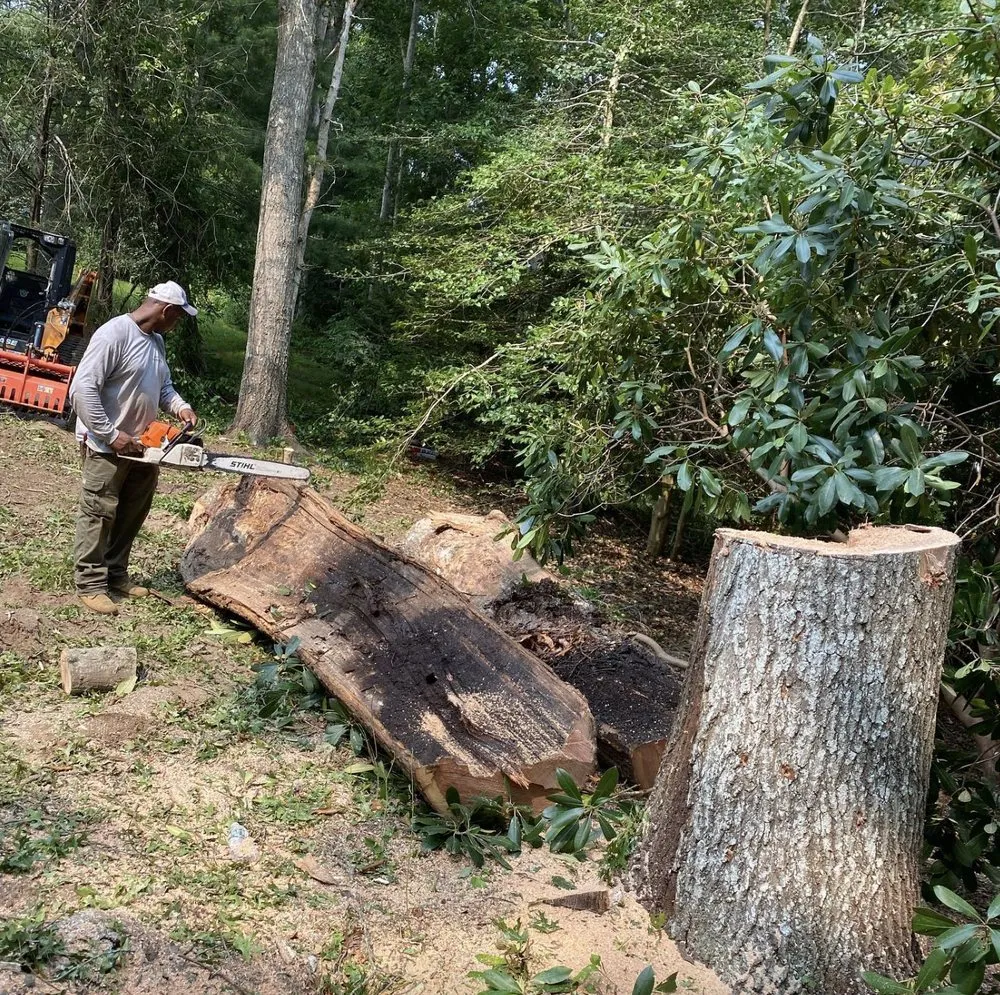 Top-rated yard cleanup service for homes in Centerville, MA by DeSouza Landscaping and Tree Service