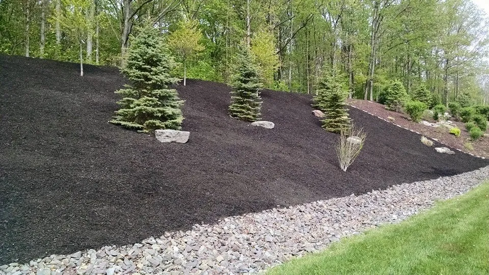 Top-rated lawn care service near you across Scranton, PA - Desperate Landscapes and Lawn Care