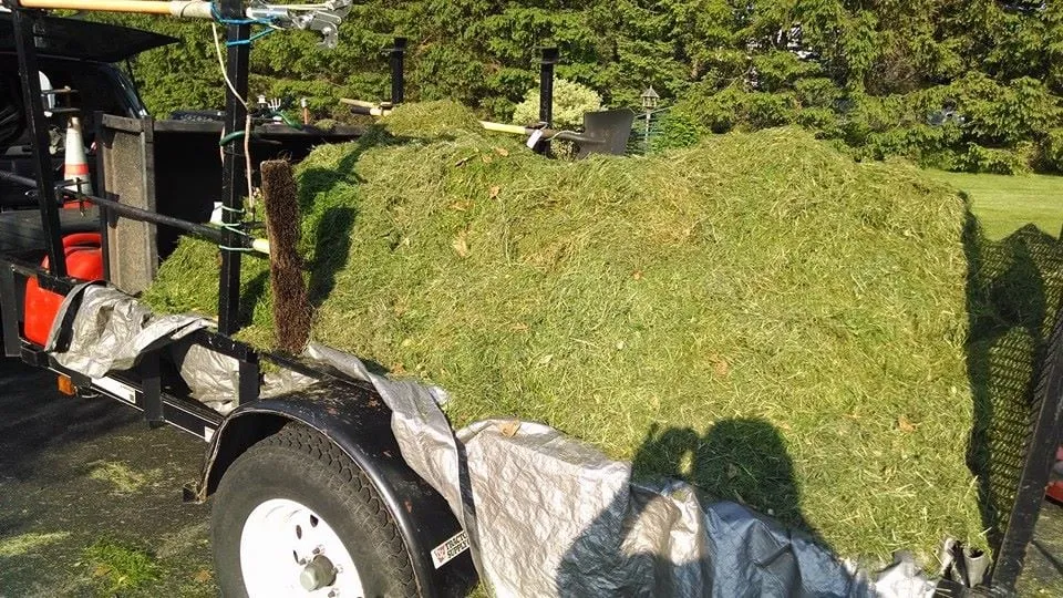 Expert landscape design for year-round maintenance across Scranton, PA - Desperate Landscapes and Lawn Care