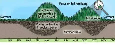 Reliable residential landscaping for residential properties across Scranton, PA - Desperate Landscapes and Lawn Care