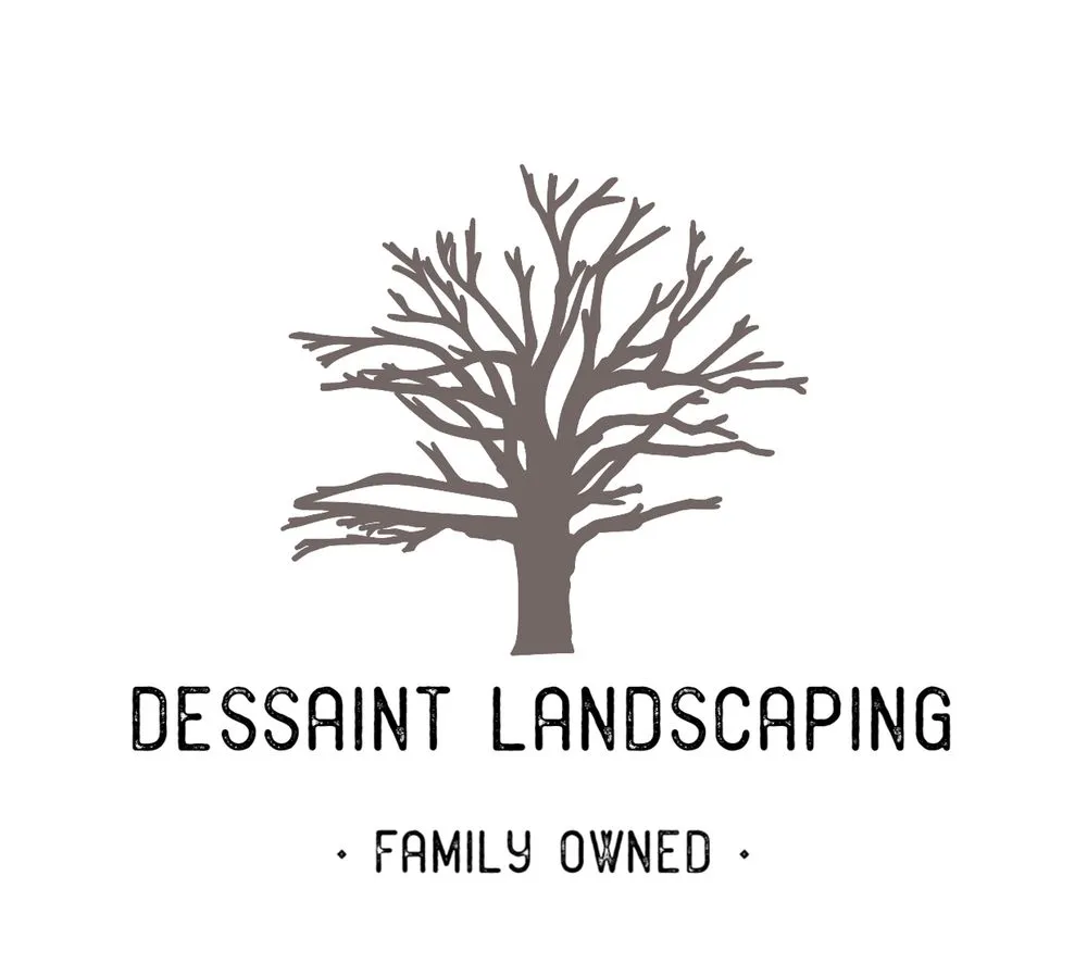 Reliable yard cleanup service for homes across Warwick, RI - Dessaint Landscaping