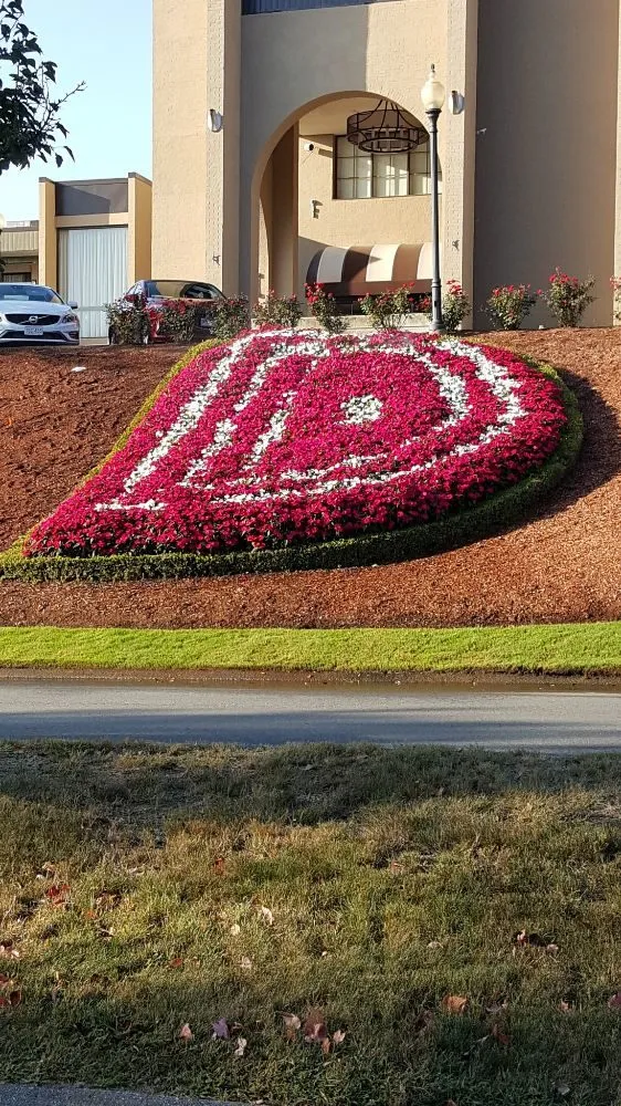 Affordable yard cleanup service in Rowley, MA - Destefano Landscape & Snow