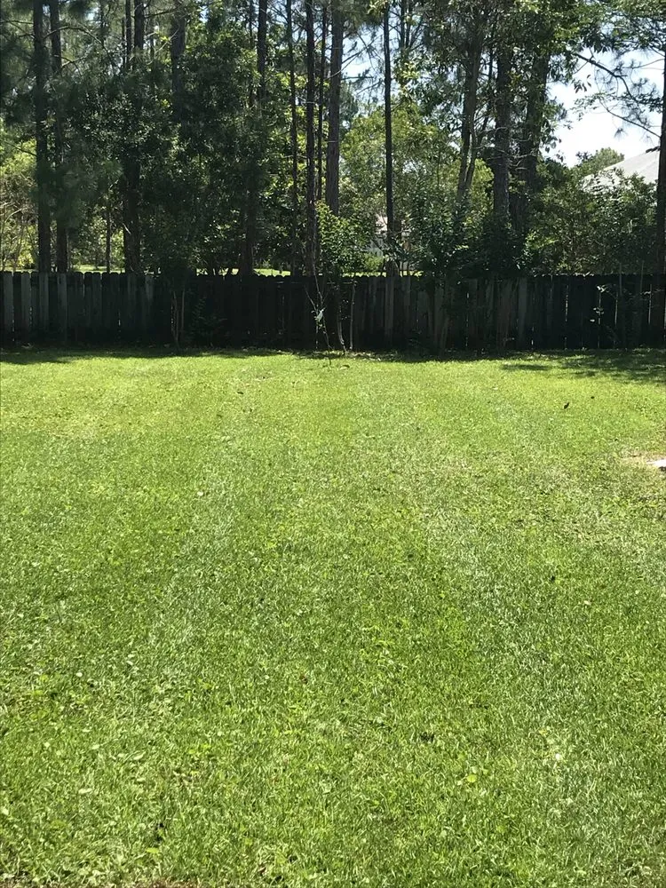 Reliable outdoor landscaping experts serving Destin, FL - Destin Lawn Care