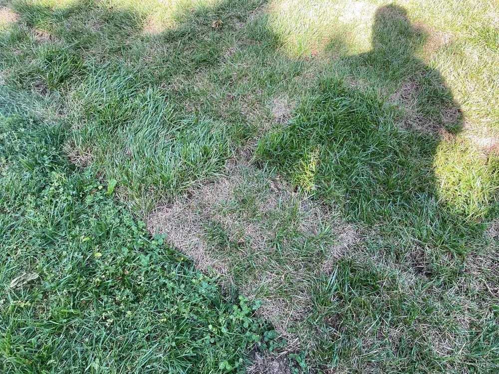 Expert landscape installation experts serving Brentwood, TN - Destined Landscapes