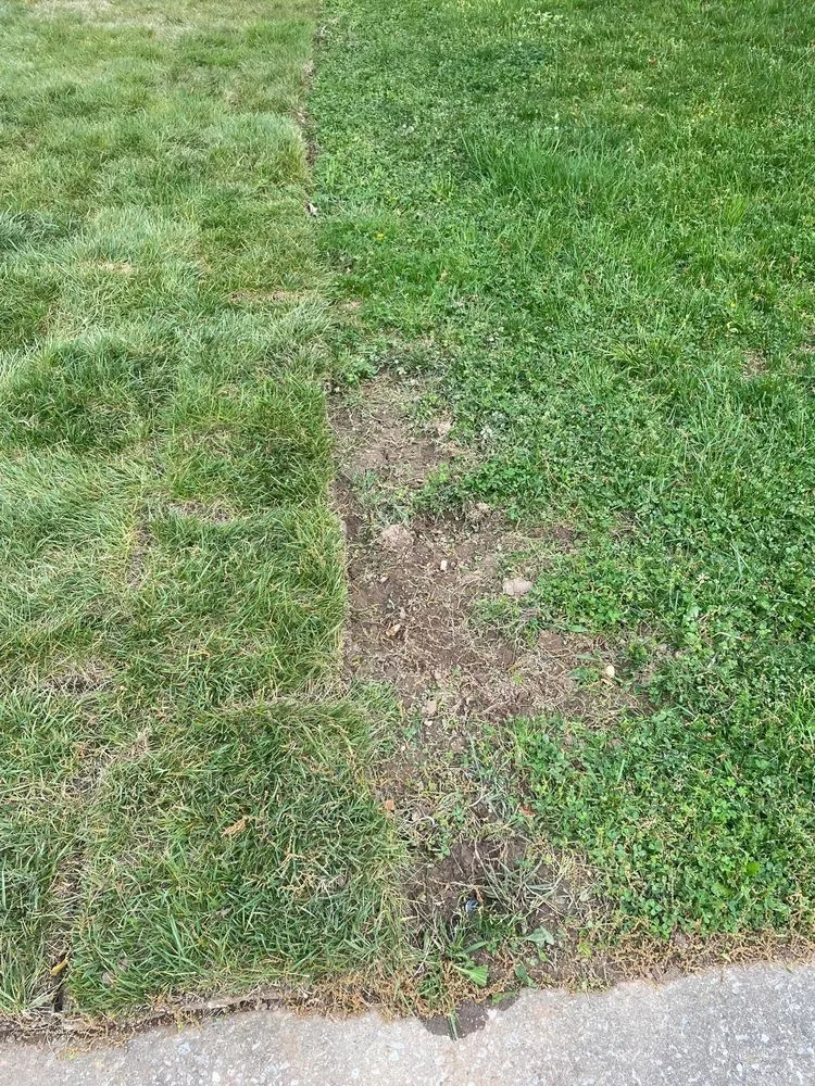 Affordable garden landscaping experts serving Brentwood, TN - Destined Landscapes