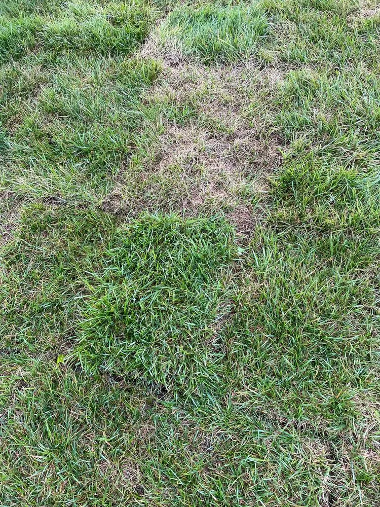 Top-rated outdoor landscaping for residential properties in Brentwood, TN by Destined Landscapes