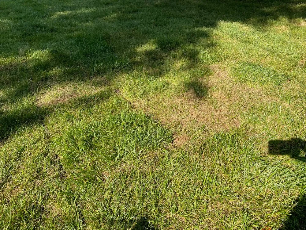 Reliable outdoor landscaping in Brentwood, TN - Destined Landscapes