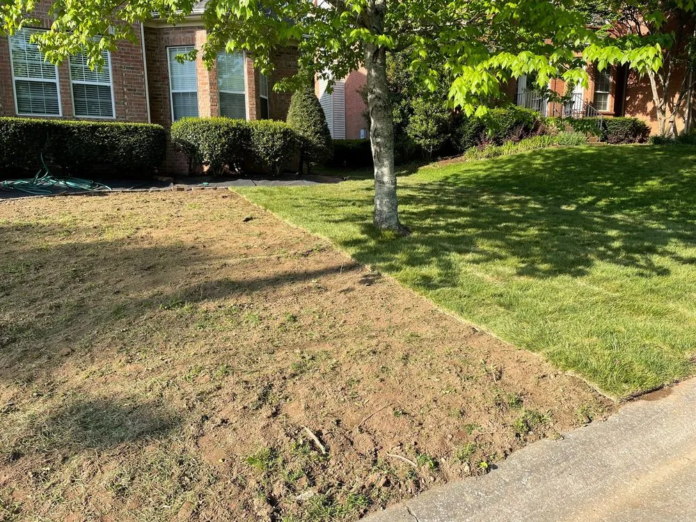 Local landscaping services in Brentwood, TN - Destined Landscapes