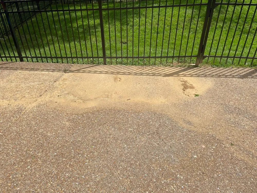 Professional residential landscaping in Brentwood, TN by Destined Landscapes