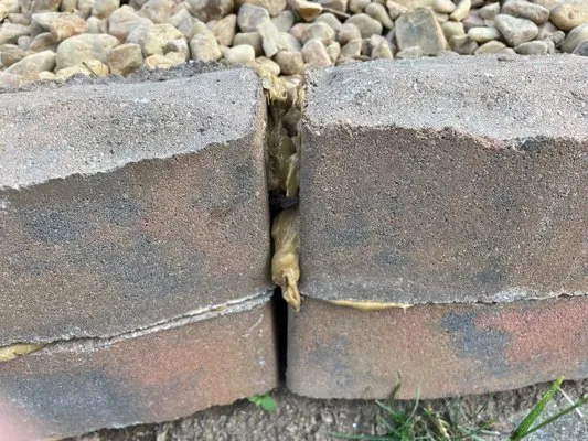 Destined Landscapes Logo