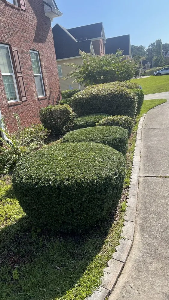 Professional garden landscaping for residential properties across Macon, GA - Destined Lawn Care