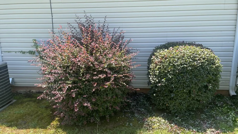 Expert landscaping services in Macon, GA - Destined Lawn Care