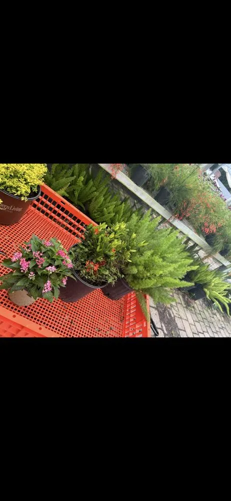 Trusted landscape installation near you across Clewiston, FL - Destiny Landscape Solutions