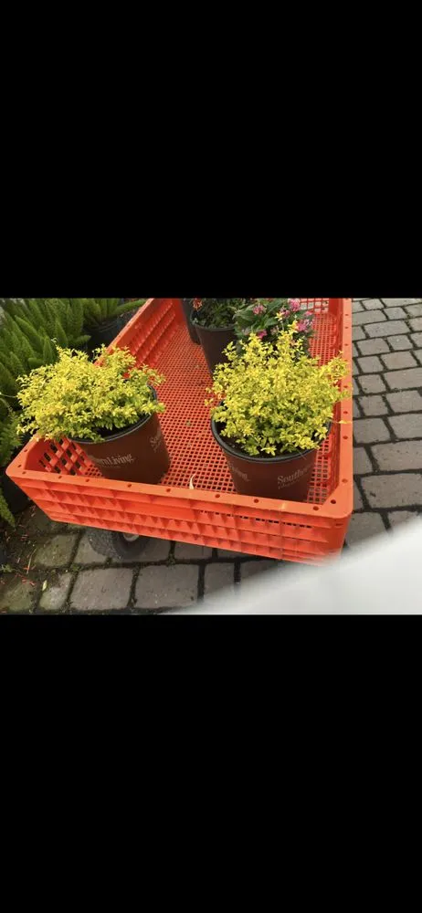 Top-rated landscape installation near you across Clewiston, FL - Destiny Landscape Solutions