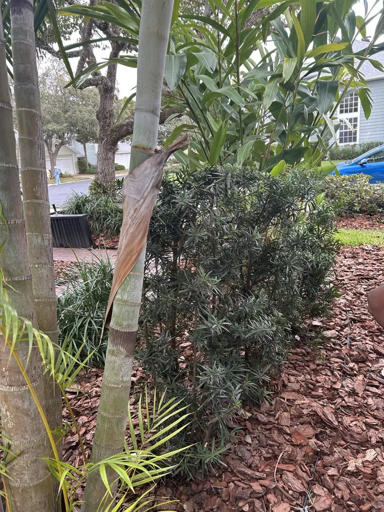 Custom outdoor landscaping experts serving Clewiston, FL - Destiny Landscape Solutions