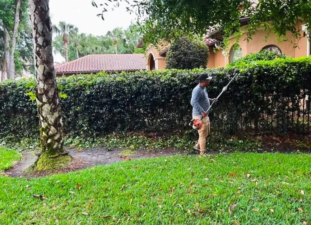 Affordable landscape installation for beautiful yards across Clewiston, FL - Destiny Landscape Solutions