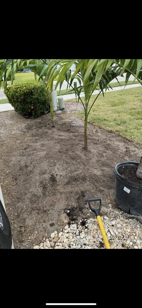 Expert landscaping services for year-round maintenance across Clewiston, FL - Destiny Landscape Solutions
